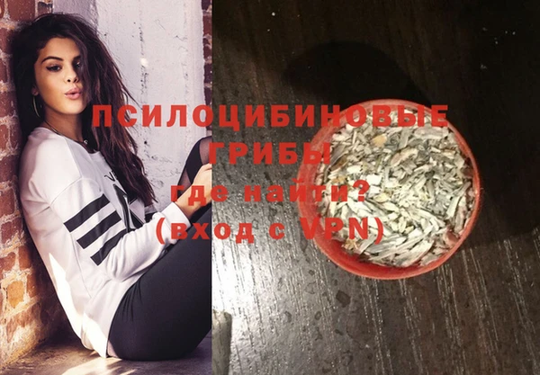 ешки Богородск