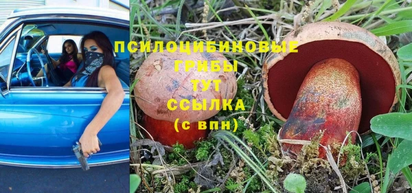 метамфетамин Богородицк